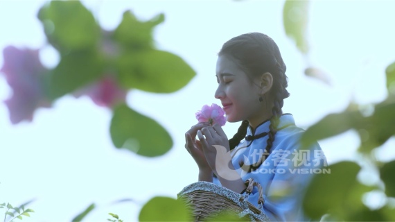 中国德阳月季展宣传片