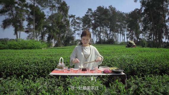 《最美茶庄》文旅宣传片