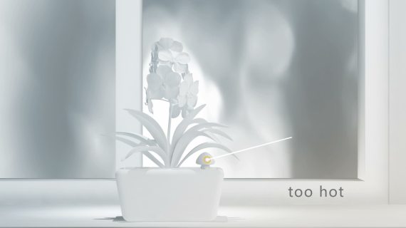 树下的goblin成品