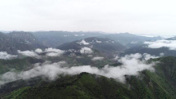 青海 互助 北山