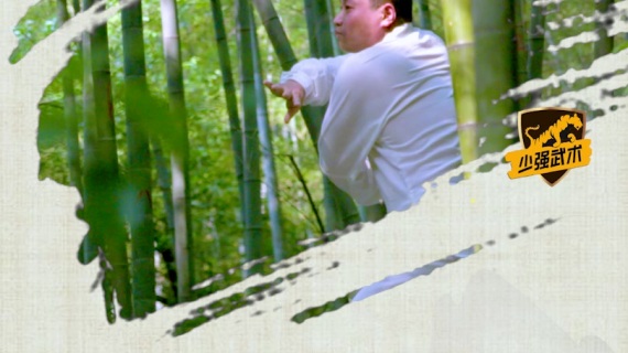 《少强武术_节气系列》_芒种.得心应手