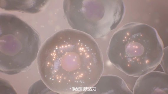 卡姬兰小金瓶青春定格液