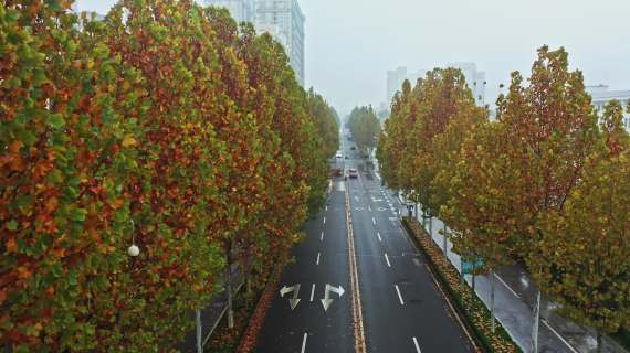 秋天雨后街道