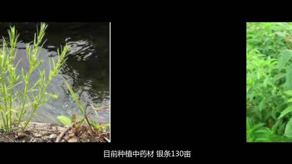 皇甫山国有林场申报片