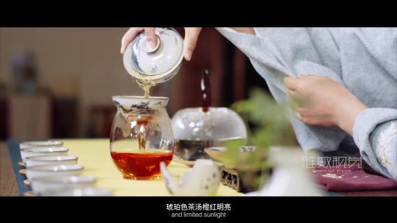 一片树叶·遵义红茶宣传片
