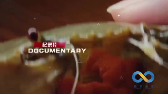 视界王国公司宣传片