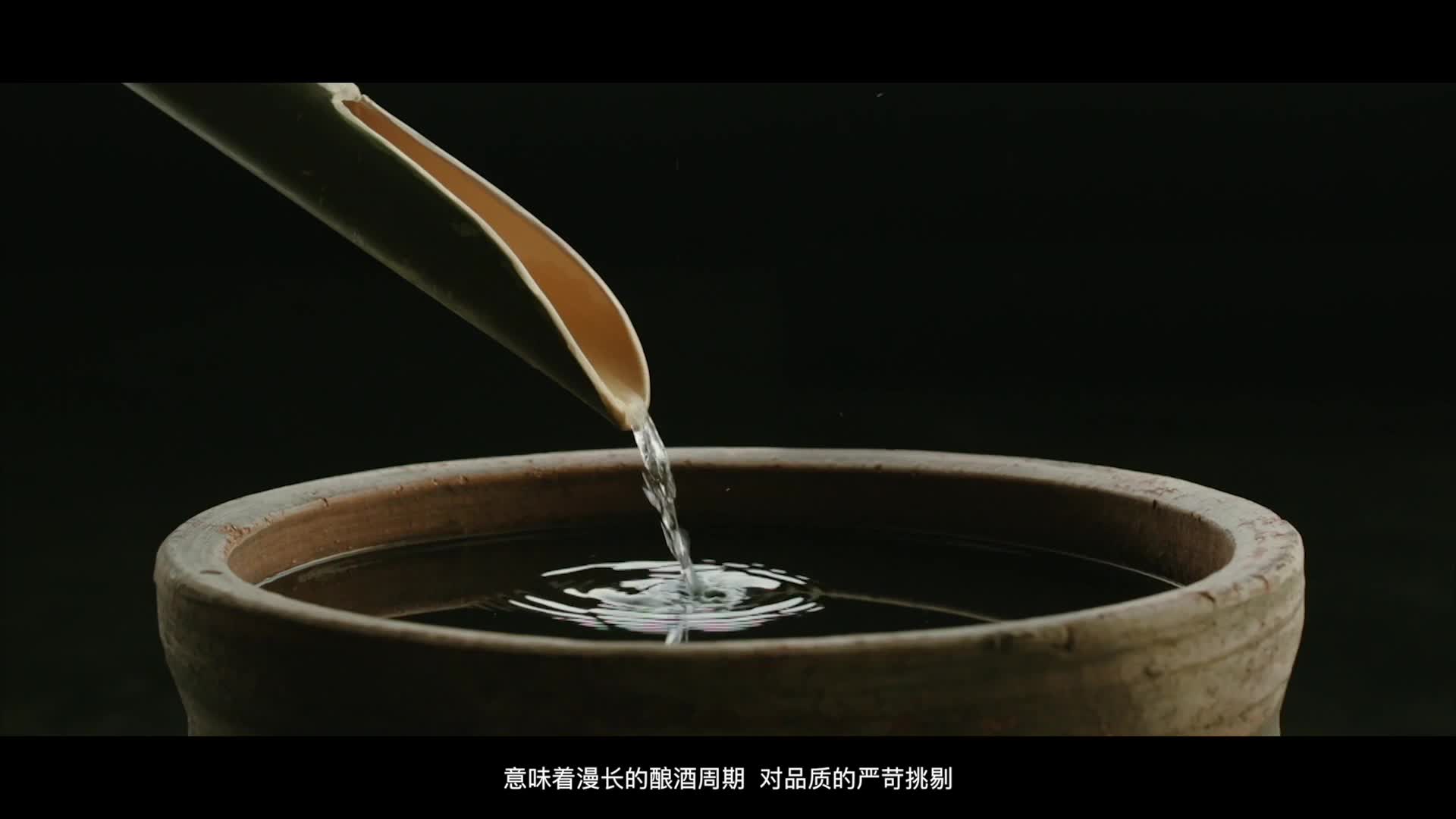 茅台醇央视宣传片图片