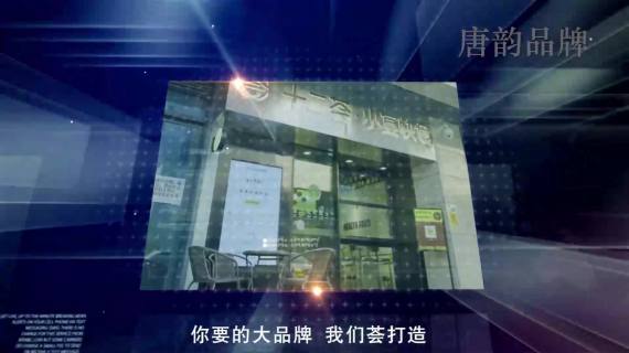 公司网站十二荟视频