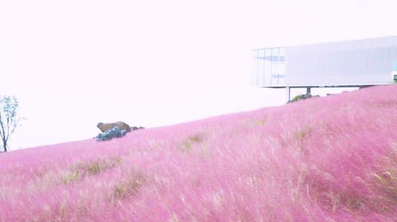 懒坝