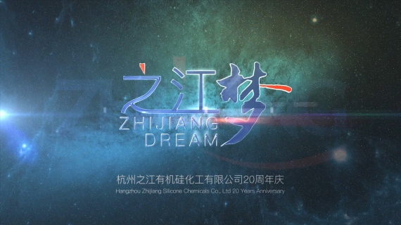 浙江杭州之江有机硅化工有限公司