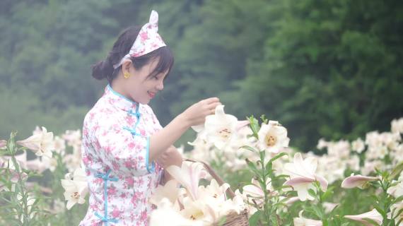 百合花