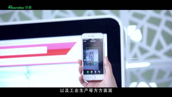 佳都实业