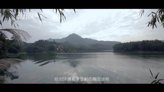 广西柳州融安县金桔宣传片