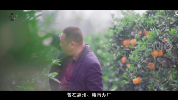 月汉村的脐橙梦