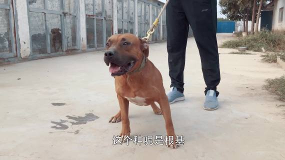 高度定制企业宣传片