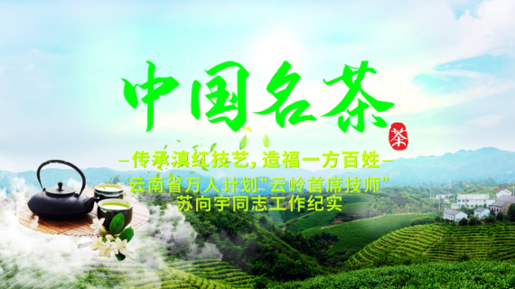 云南滇红茶种茶专题宣传片