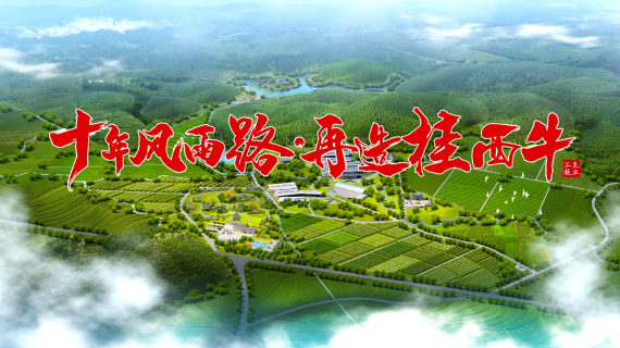 广西《桂西牛》宣传片