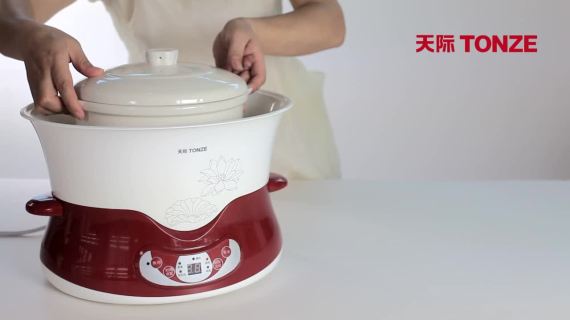 电炖锅 炖锅 煲汤 小家电