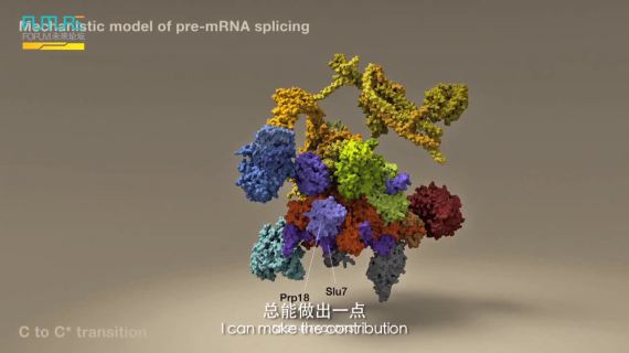 施一公中英文字幕版