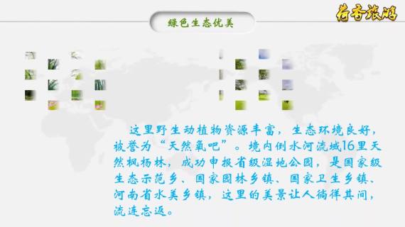 公司创业项目简介PPT视频