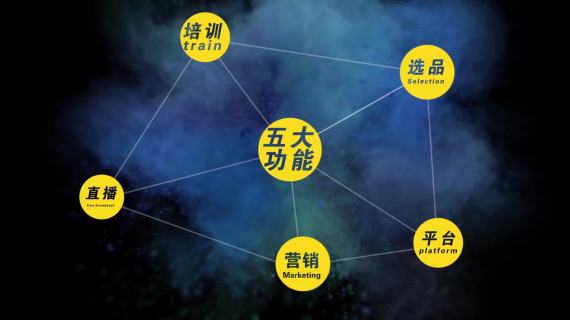 世贸跨港通宣传片成片