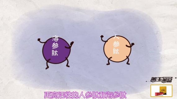 善玉善品MG动画