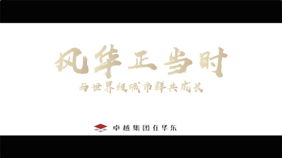 卓越集团华东区域宣传片