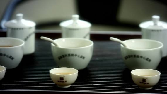 津桥半藏——普洱形象