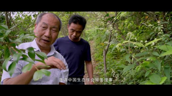 婺源大鄣山和村宣传片