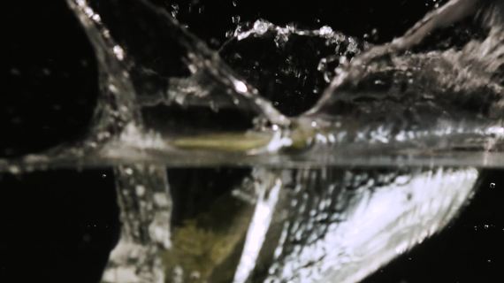 爽肤水
