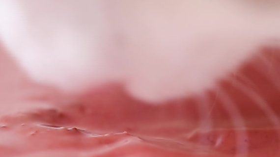 猫罐头实拍视频