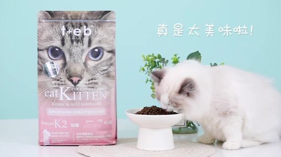 猫粮实拍实拍