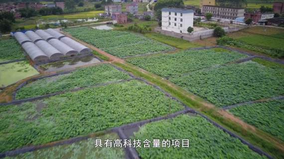 他来了之后