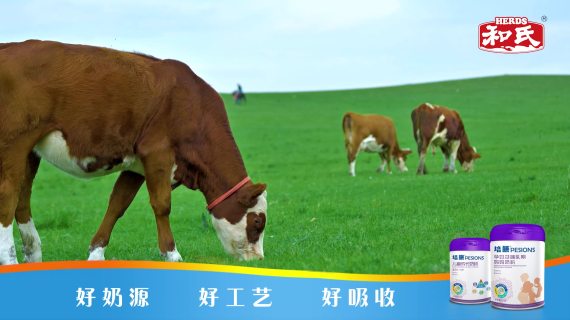 何氏培膳5秒广告