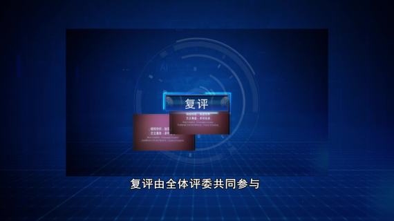 《第七届中国书法兰亭奖评奖纪实》（202