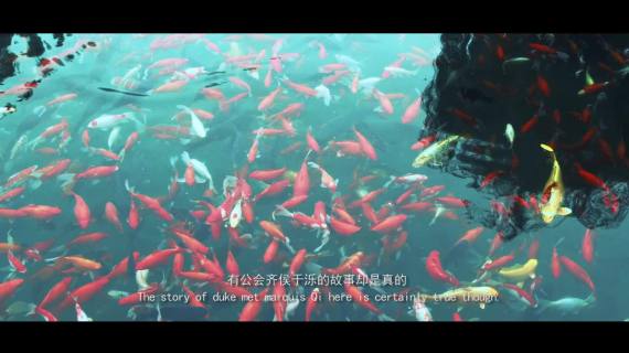 济南旅游宣传片  趵突泉大明湖