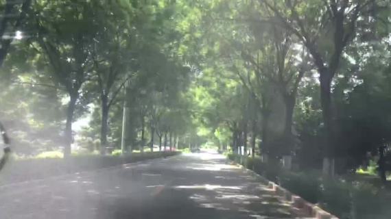 林荫小路