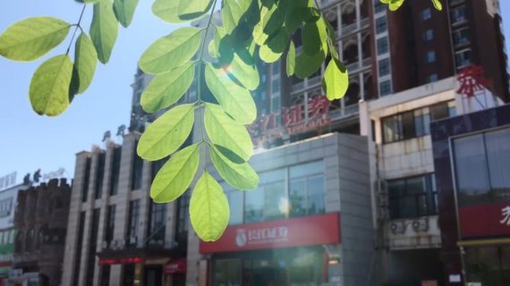 阳光明媚