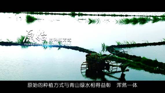 大米宣传片