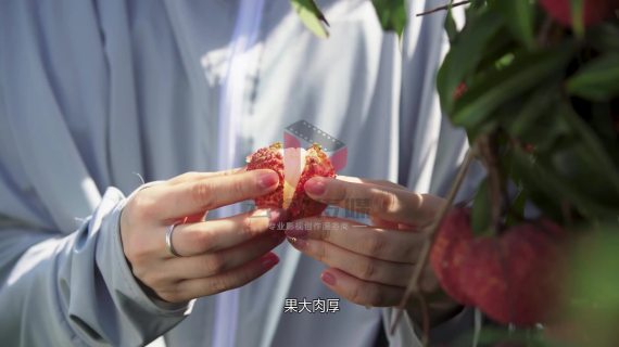 无核荔枝电商短视频宣传广告