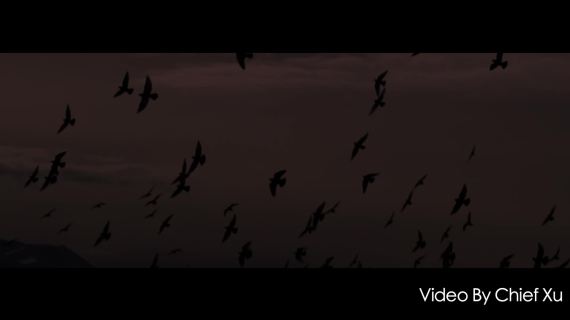英菲尼迪TVC