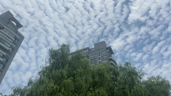 天空vlog