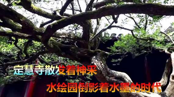 如皋等你来MV