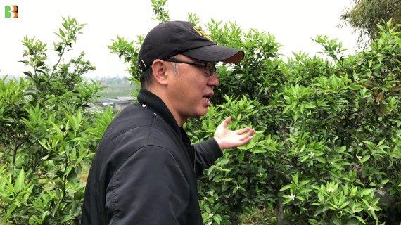 教学跟拍