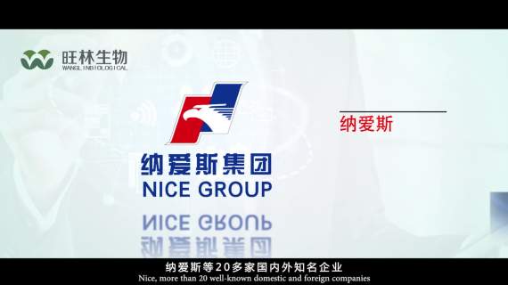 旺林-点竹成金加英文字幕版