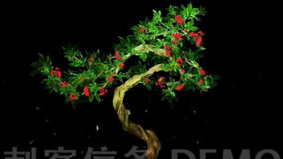 春夏秋冬  树  四季
