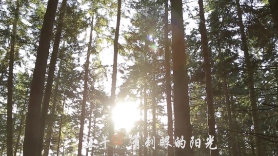 镜头