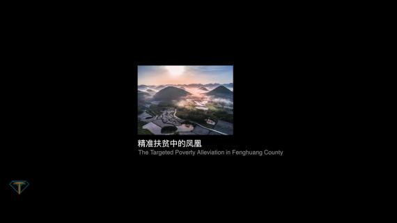 凤凰双年展宣传片