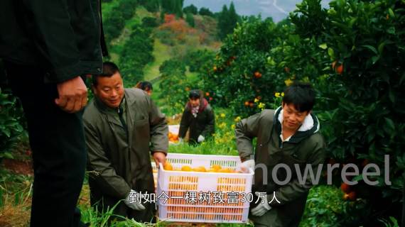 书记晒文旅-重庆奉节县文旅展示宣传片