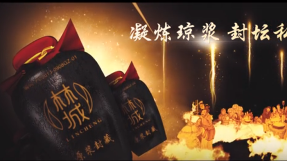 林城酒业封坛宣传片